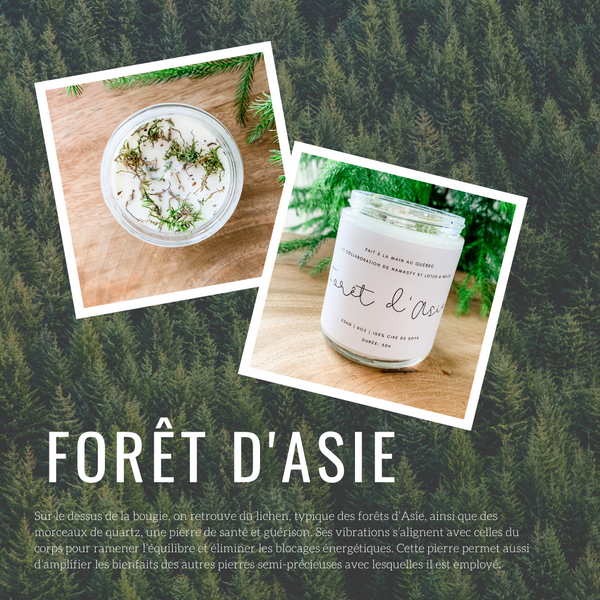Bougie artisanale - Forêt d’Asie