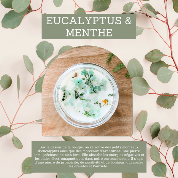 Bougie artisanale - Eucalyptus et menthe